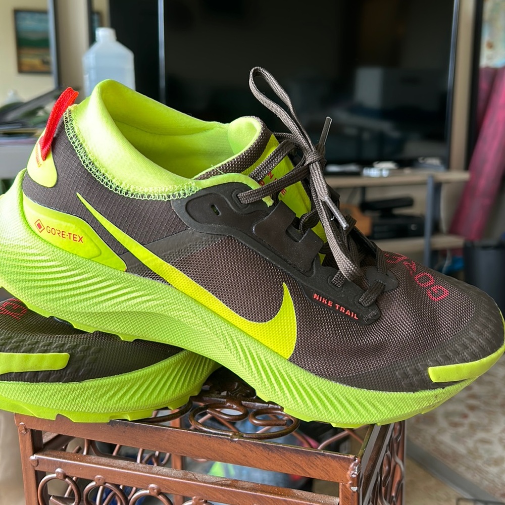 Nike Pegasus Trail 3 Gore-Tex